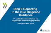 5 step reporting - 7th Multi-Stakeholder Forum on Responsible Mineral Supply Chains