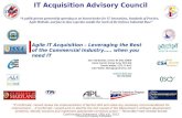 IT-AAC Roadmap for Sustainable Defense IT Reforms