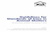 Are you the best you can be asv guidelines
