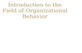 Introduction To The Field Of Organizational Behaviour