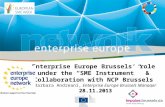 Enterprise Europe Brussels & SME Instrument, Barbara Andreani, workshop 28.11.13