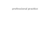 Professional practice 2010