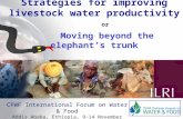 Strategies for improving livestock water productivity or moving beyond the elephant’s trunk