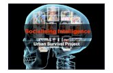Crowdsourcing Social Intelligence: Socialising Intelligence