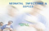 all neonatal infections and sepsis
