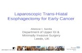 Laparoscopic trans hiatal esophagectomy for early cancer-final