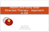 Sepsis and early goal directed therapy