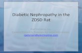 PreClinOmics - ZDSD Diabetic Nephropathy