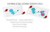 Umbilical cord stem cell