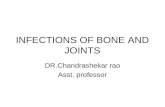 Infections of bone and joints