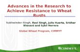 Advances in the research to achieve resistance to wheat rusts
