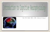 Cognitive neuroscience introduction
