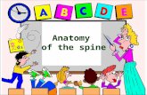 18   anatomy of the spine - d3