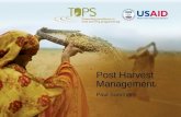 Post Harvest Management in Africa Issues/Opportunities