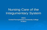 Nursing care of the integumentary System