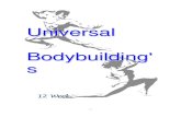 Body Building   Universal 12 Week Bodybuilding Course (English)