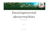 Developmental abnormalities