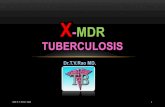 X-MDR Tuberculosis