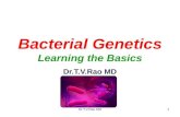 Bacterial genetics.ppt teaching