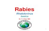 Rabies, World Rabies Day