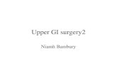 Upper GI Bleeding (Liver and Spleen) Bambury