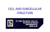 Cell and subcellular structures ppt BIOCHEMISTRY