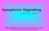 Apoptosis signalling