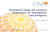 Control of exposure to workplace carcinogens - introduction to a workshop