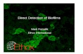 Early Biofilm Detection