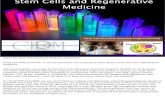 Biotechnology CIRM Stem Cell Lecture