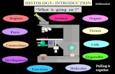 Histology Introduction