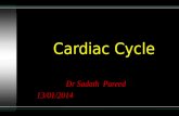 Cardiac cycle  & pressure wave forms   copy