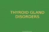 Diseases of thyroid gland