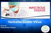 Varicella zoster virus *** chicken pox