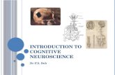Cognitive neuroscience introduction 2011