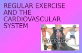 Effects on cardiovascular system