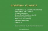 Diseases of adrenal gland
