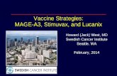 West Immunotherapy, Vaccines for Lung Cancer Mage-A3, Stimuvax, and Lucanix