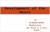 11   development of the heart
