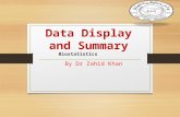 Data Display and Summary