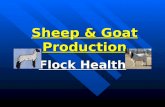 8. sheep goat production.flock health
