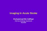 Imaging in acute stroke