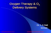Oxygen delivery-systems