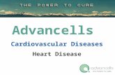 Cardiovascular diseases Treatment | Heart Disease Treatment