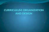 Curriculum organization and design