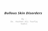 Dermatology 5th year, 3rd lecture (Dr. Kazhan)