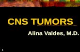 CNS Tumors