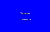 Talamo ppt