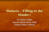 Malaria – Things We Need To Know !