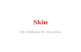 Skin histology
